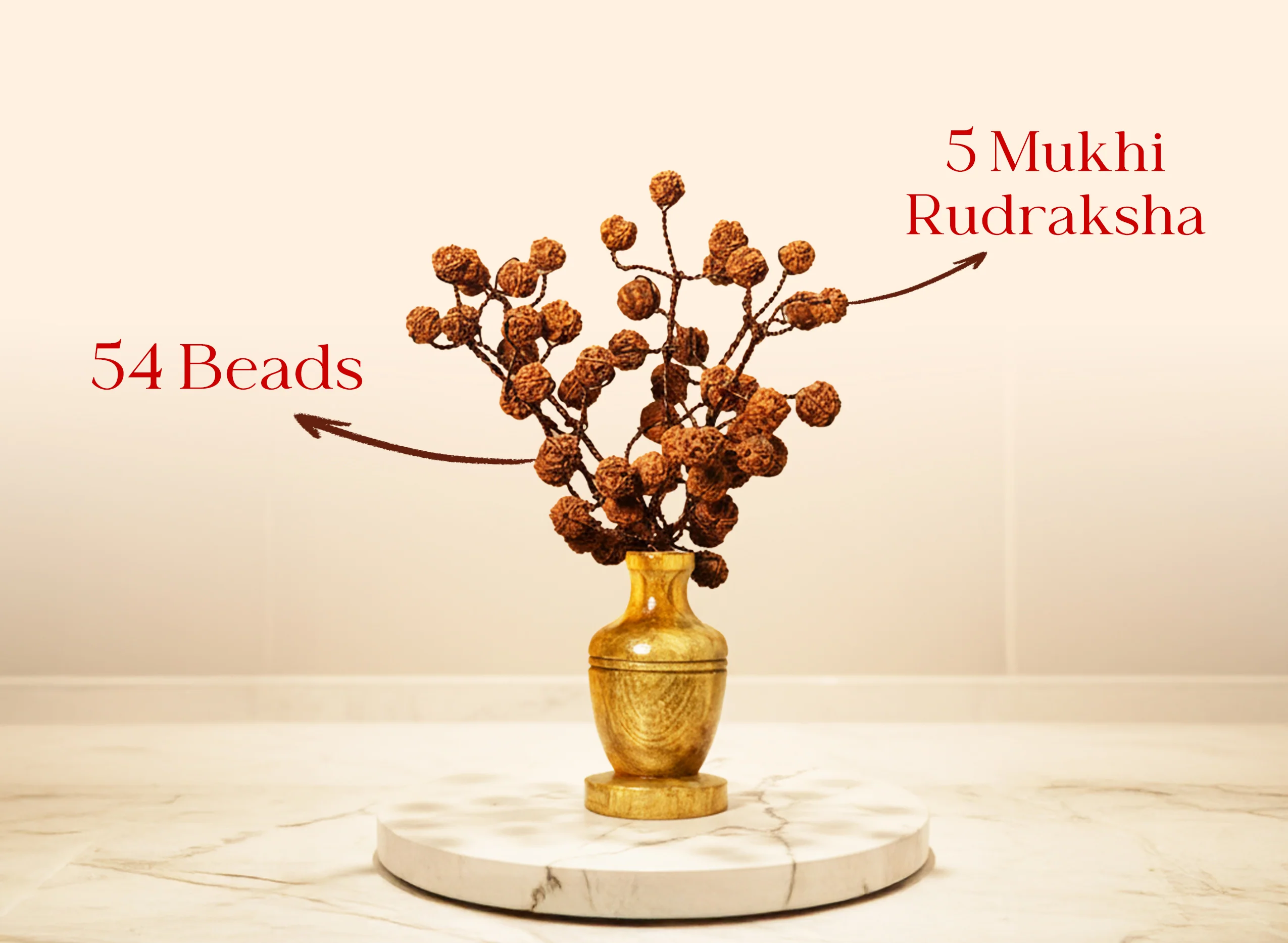 Rudraksha